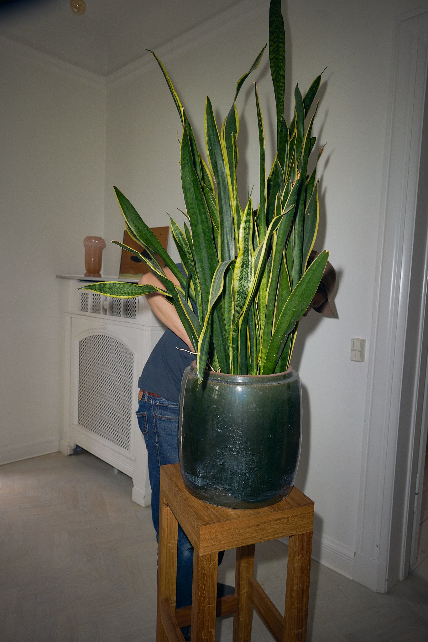 PM PEDESTAL